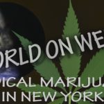 Medical Marijuana MMJ in New York WORLD ON WEED Cannabis News and Information