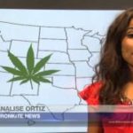 Advocates: Medical marijuana businesses would benefit from legalization of recreational pot