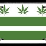 Washington DC Medical Marijuana News and Events