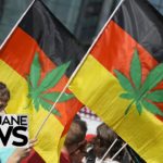Germany’s New Medical Marijuana Laws | MERRY JANE News