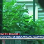 Medical marijuana testing: 5 things you need to know