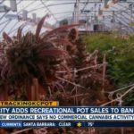 Bakersfield leaning toward banning commercial cannabis activity