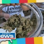 Breaking News – LA will become largest US city with recreational pot