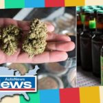 Breaking News – California could net more profits from marijuana than beer