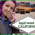 MY FIRST RECREATIONAL POT PURCHASE IN CALIFORNIA | Coral Reefer | Stoney Sunday