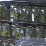 RECREATIONAL POT: Customers flock to Buddy’s marijuana dispensary in San Jose